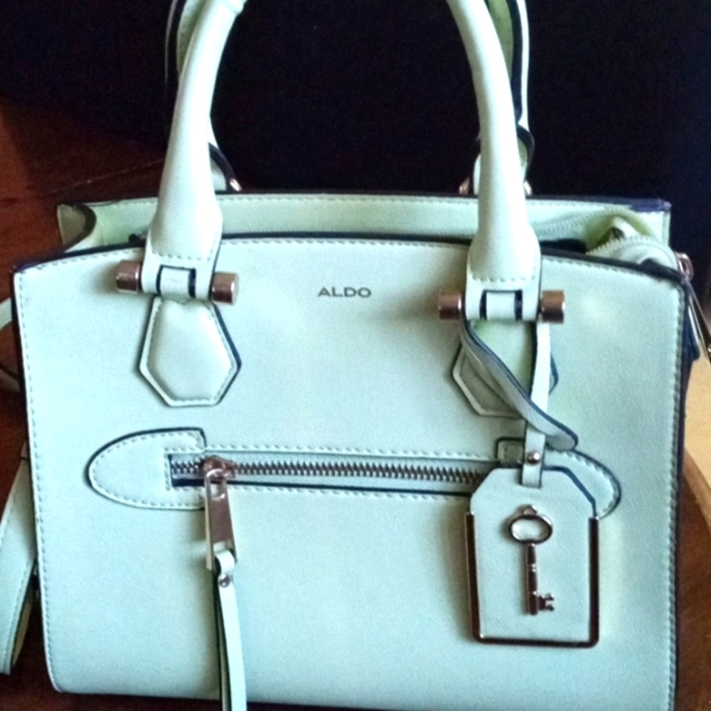 👀❤️light green Aldo 👜 handbag